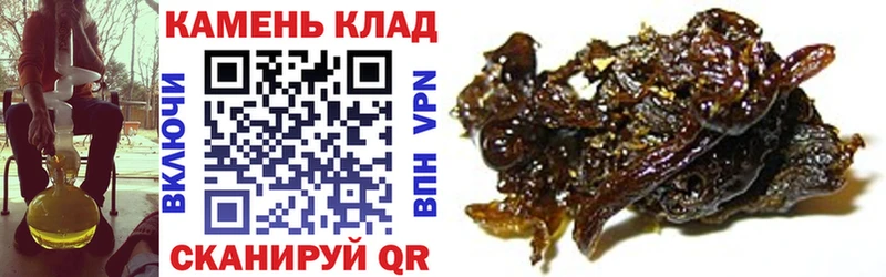 где можно купить   Гусев  ГАШ VHQ 