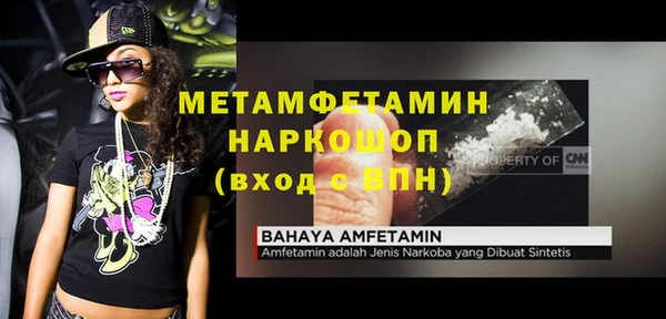 PSILOCYBIN Белокуриха