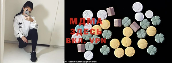 PSILOCYBIN Белокуриха