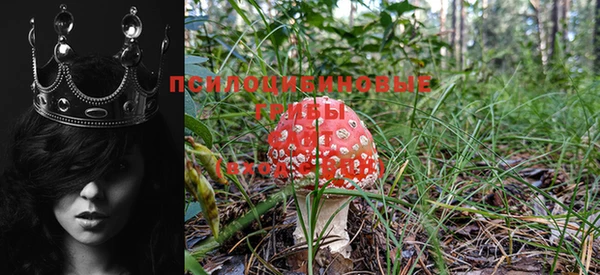 гашишное масло Белоозёрский
