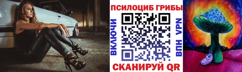 Галлюциногенные грибы Psilocybe  где купить   Гусев 