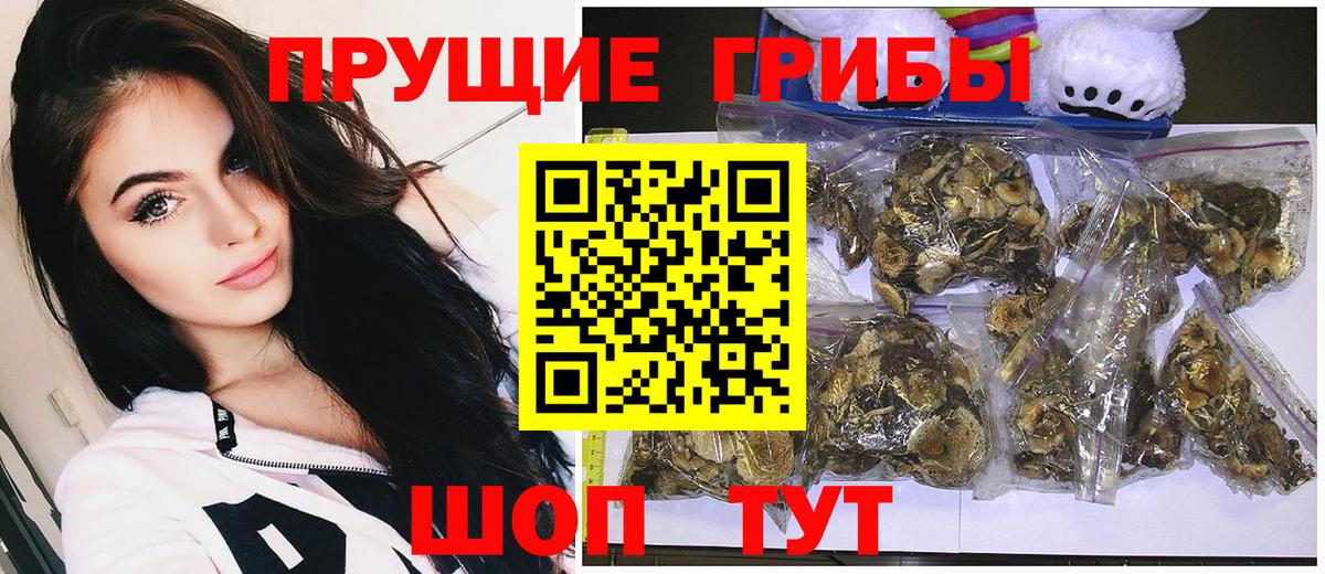Псилоцибиновые грибы ЛСД  Вход с VPN  Гусев 