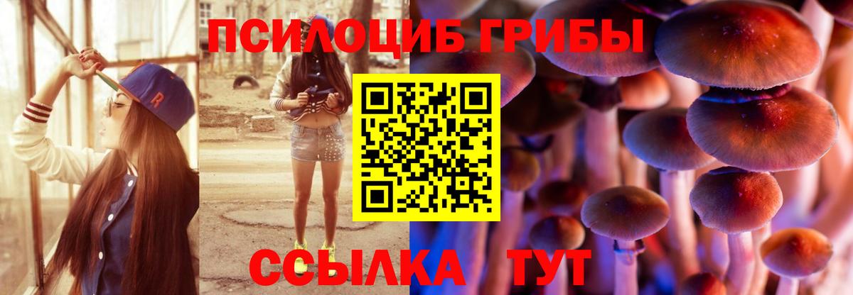 Псилоцибиновые грибы прущие грибы Гусев